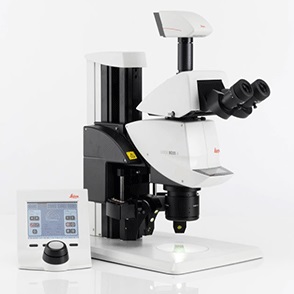 高分辨率体视显微镜图片